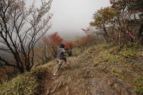 大菩薩嶺 (日帰り父子登山)