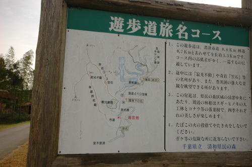 オートキャンプ フルーツ村 レポ