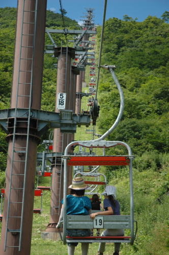 星の降る森キャンプ場