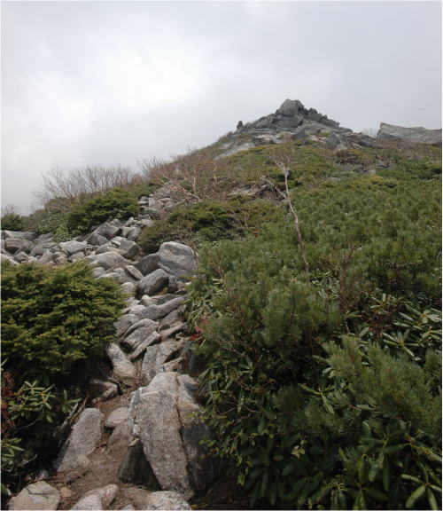 金峰山レポ 4(下山編)