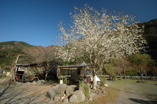 西伊豆オートキャンプ場 レポ