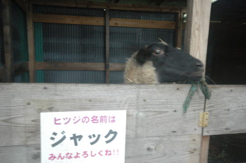 わらび平キャンプ場 レポ