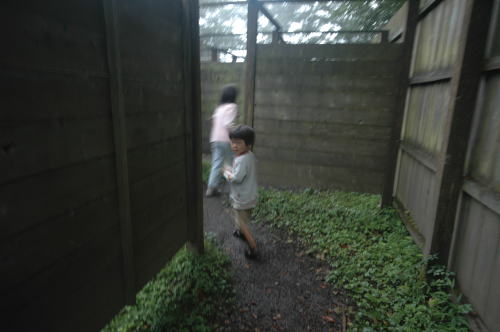 わらび平キャンプ場 レポ