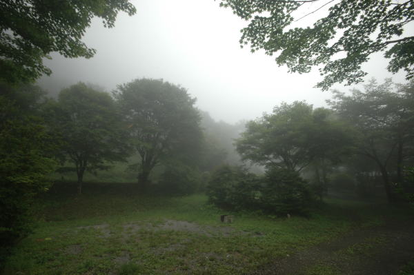 わらび平キャンプ場 レポ