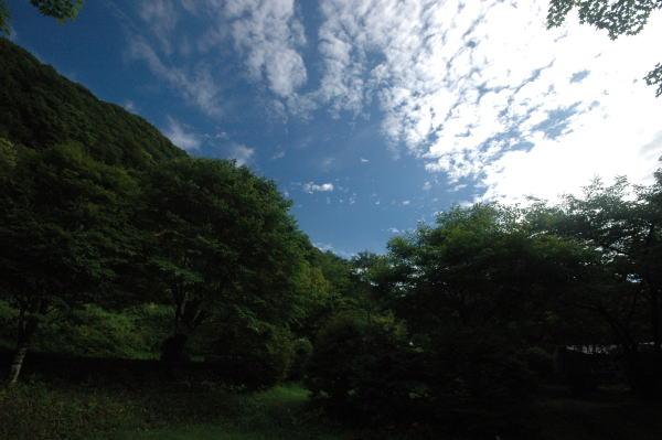わらび平キャンプ場 レポ
