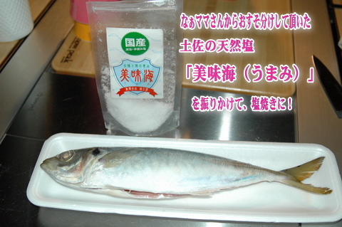 船折瀬戸キャンプ場(愛媛県)