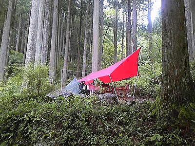 タープリベンジ
