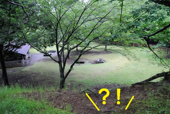 高尾山・・・縦走?