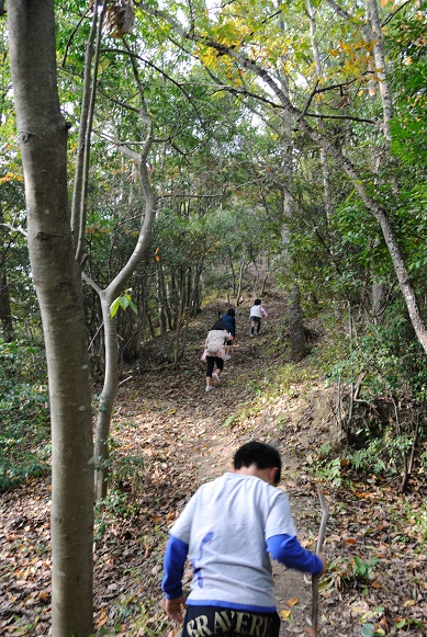 山の上には・・三角〇!?