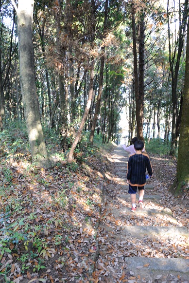 秋晴れ・・親子トレック?