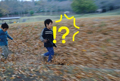 小さい秋?・・見つけた!(妄想?)