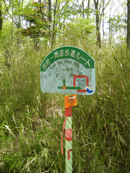 宿題の山「扇山(大平山)」<弾丸扇山メイキング>