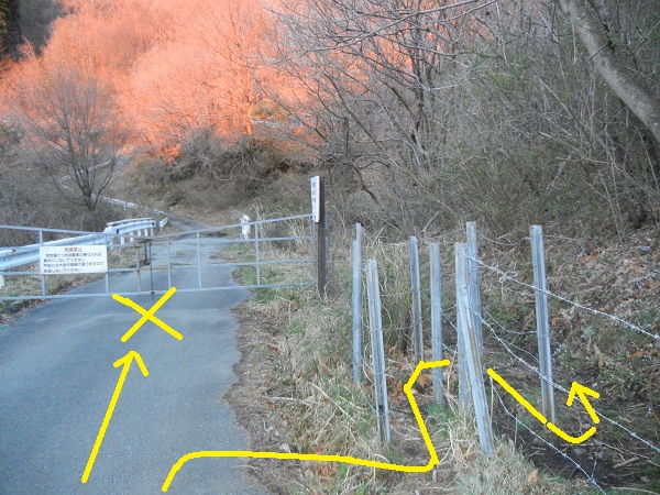 大船山トレック(弾丸~岳麓寺~山頂~ネタ?~〇〇〇?)