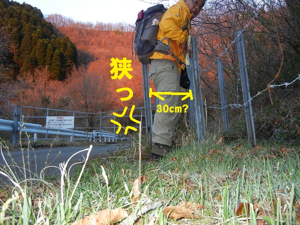 大船山トレック(弾丸~岳麓寺~山頂~ネタ?~〇〇〇?)