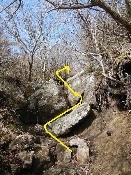 大船山トレック(弾丸~岳麓寺~山頂~ネタ?~〇〇〇?)