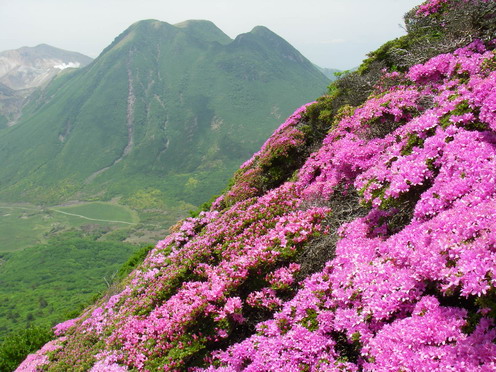 大船山トレック(弾丸~岳麓寺~山頂~ネタ?~〇〇〇?)