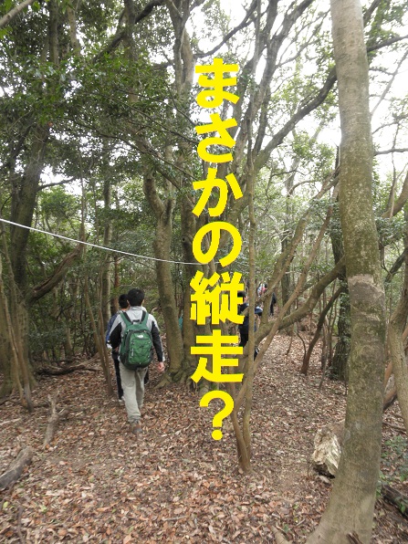 三角台~諏訪山縦走・・・レク?