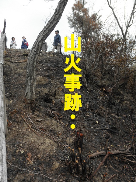 三角台~諏訪山縦走・・・レク?