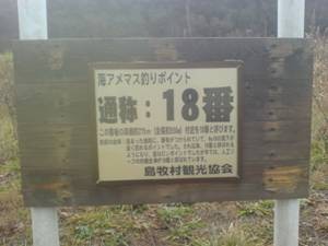 寝不足の訳?