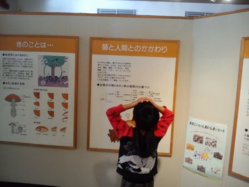 父子キャンプde周辺探索 伊豆だるま山キャンプ場