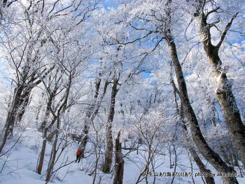 思いがけない蒼天~初春の大山登山 その1 思いがけない蒼天~初春の大山登山 その1