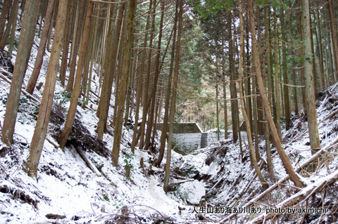 新年初登り ~ 霧氷と氷瀑を求めて(金剛山) 新年初登り ~ 霧氷と氷瀑を求めて(金剛山)