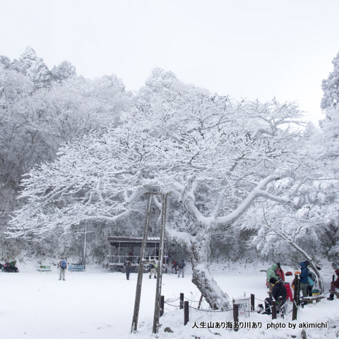 新年初登り ~ 霧氷と氷瀑を求めて(金剛山) 新年初登り ~ 霧氷と氷瀑を求めて(金剛山)
