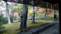 箱根美術館　紅葉綺麗だー