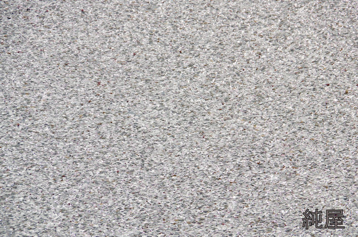 みなも桜 みなも桜