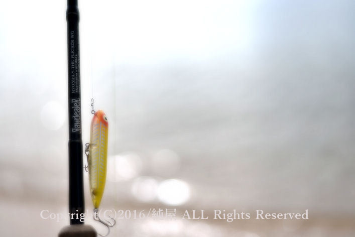 Heddon Zara Puppy ザラパピー Heddon Zara Puppy ザラパピー