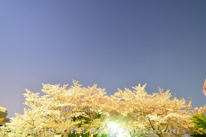 ゴミが落ちていない美しい公園でした ゴミが落ちていない美しい公園でした