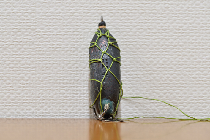 ライギョ釣りの結び方忘れた! ライギョ釣りの結び方忘れた!
