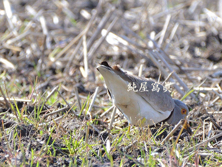 削除覚悟!!盗撮エッチ画像集 削除覚悟!!盗撮エッチ画像集