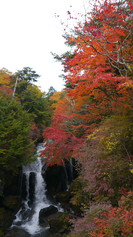 日光は紅葉まっ盛り 太郎山・龍頭の滝