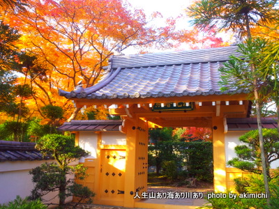 続・紅葉を求めて~京都鷹峯源光庵
