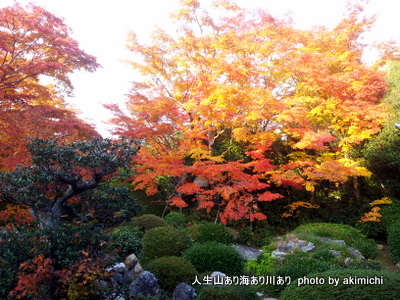 続・紅葉を求めて~京都鷹峯源光庵