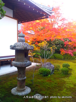 続・紅葉を求めて~京都鷹峯源光庵