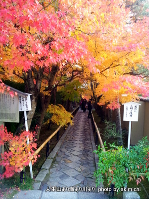 続・紅葉を求めて~京都鷹峯源光庵
