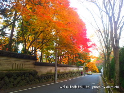 続・紅葉を求めて~京都鷹峯源光庵
