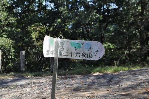 アオゲラの森キャンプ場紹介