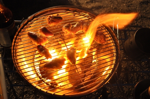 かわせみオフ!