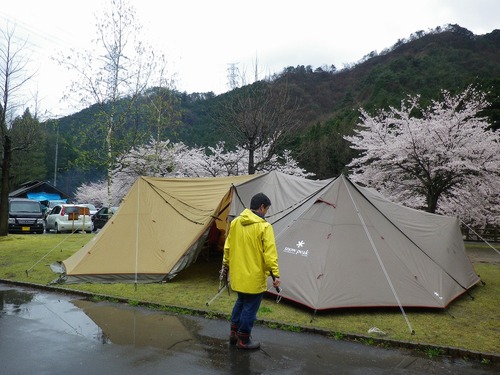松田川お花見オフ2012