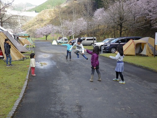 松田川お花見オフ2012