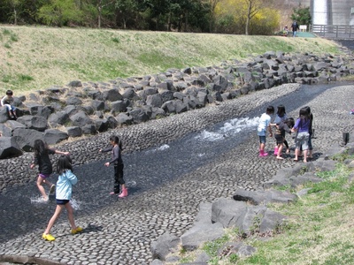 松田川お花見オフ2012