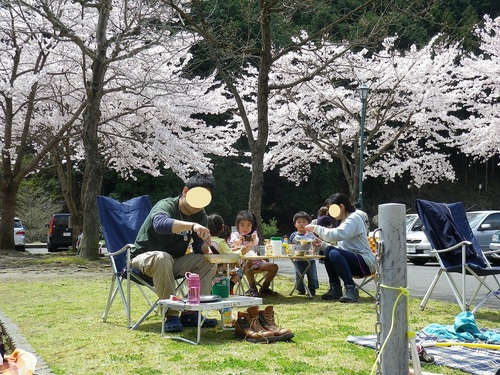 松田川お花見オフ2012