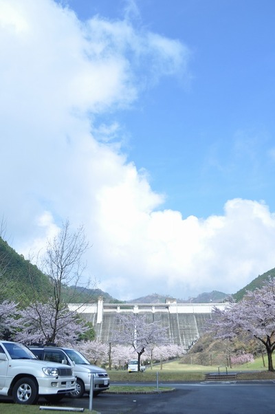 松田川お花見オフ2012