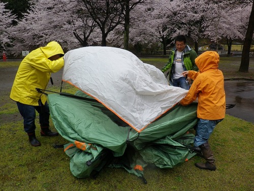 松田川お花見オフ2012