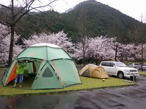松田川お花見オフ2012