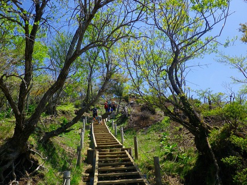 丹沢 塔ノ岳&鍋割山登山!