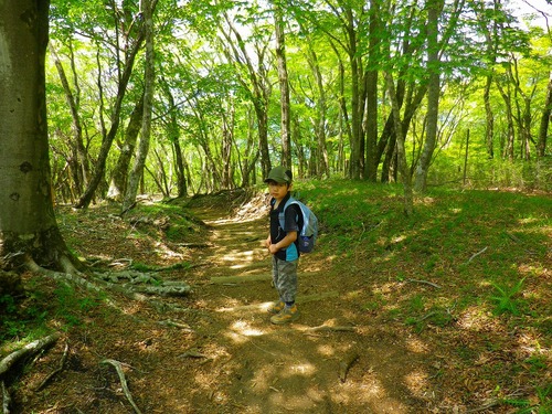 丹沢 塔ノ岳&鍋割山登山!